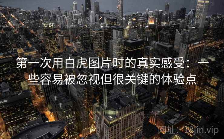 第一次用白虎图片时的真实感受:一些容易被忽视但很关键的体验点 第一次用白虎图片时的真实感受:一些容易被忽视但很关键的体验点