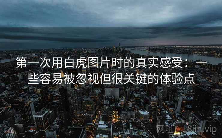 第一次用白虎图片时的真实感受:一些容易被忽视但很关键的体验点 第一次用白虎图片时的真实感受:一些容易被忽视但很关键的体验点