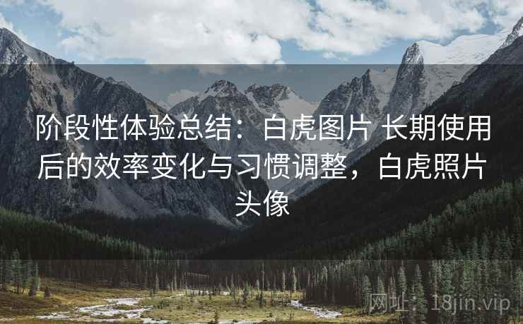 阶段性体验总结：白虎图片 长期使用后的效率变化与习惯调整，白虎照片头像