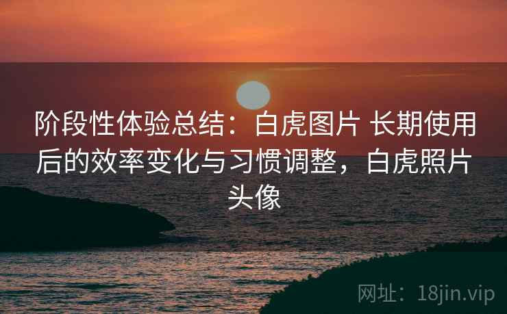 阶段性体验总结：白虎图片 长期使用后的效率变化与习惯调整，白虎照片头像
