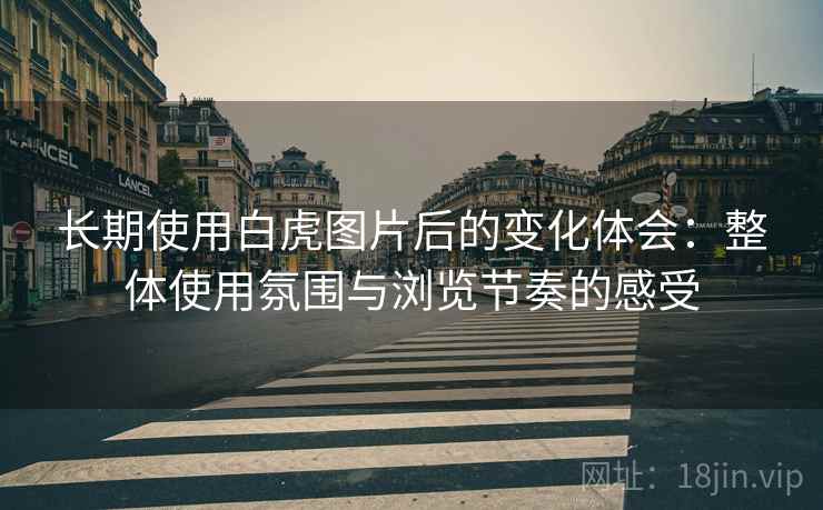 长期使用白虎图片后的变化体会:整体使用氛围与浏览节奏的感受 长期使用白虎图片后的变化体会:整体使用氛围与浏览节奏的感受