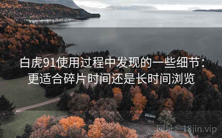 白虎91使用过程中发现的一些细节:更适合碎片时间还是长时间浏览 白虎91使用过程中发现的一些细节:更适合碎片时间还是长时间浏览