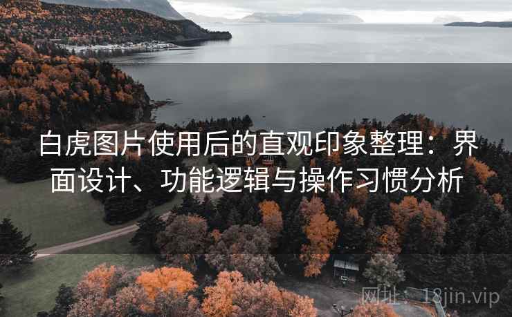 白虎图片使用后的直观印象整理：界面设计、功能逻辑与操作习惯分析