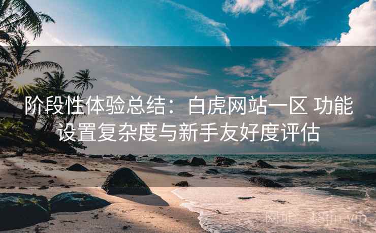 阶段性体验总结：白虎网站一区 功能设置复杂度与新手友好度评估
