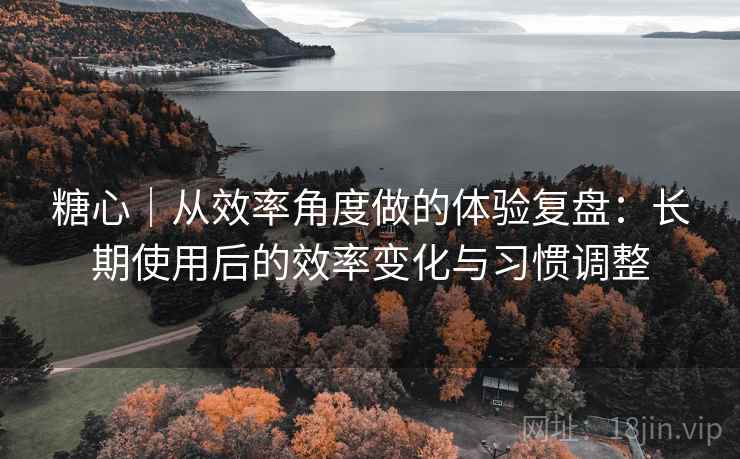 糖心｜从效率角度做的体验复盘：长期使用后的效率变化与习惯调整